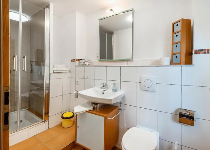 Kolibri Naumburg (Saale)